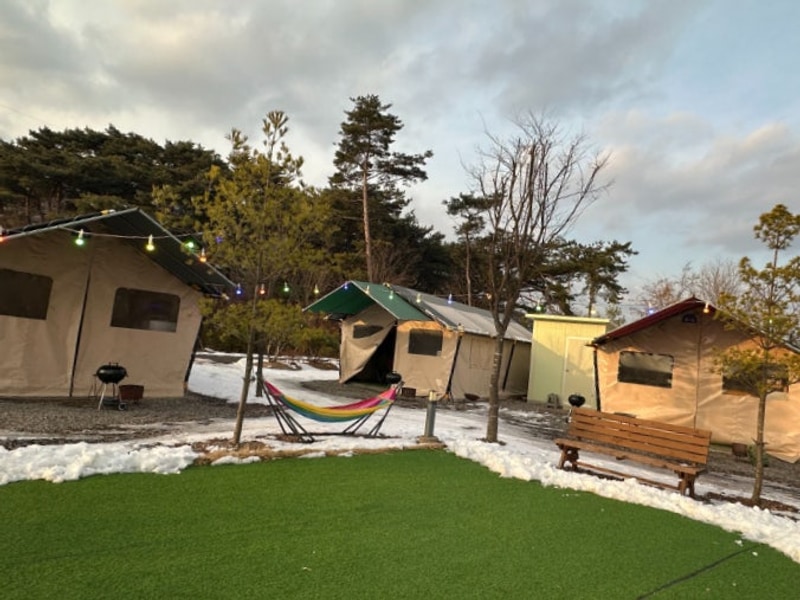 반려동물 동반 글램핑을 할 수 있는 포천글램핑 쿠나글램핑