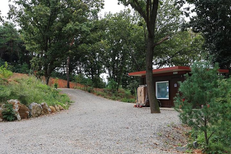 탄도호캠핑장 대표 사진