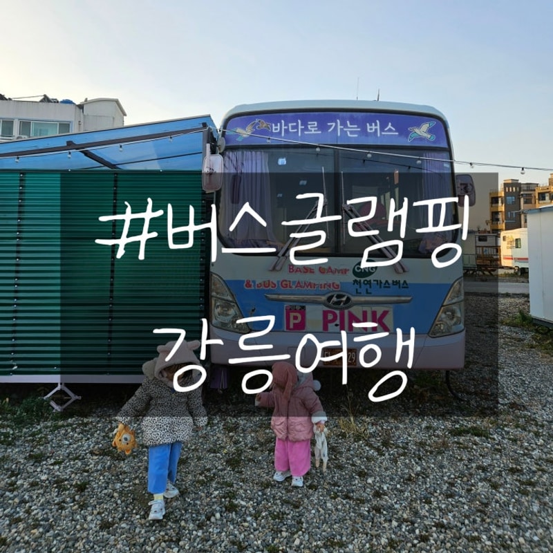강릉 베이스캠프 카라반글램핑 버스글램핑 "대만족" 버스캠핑