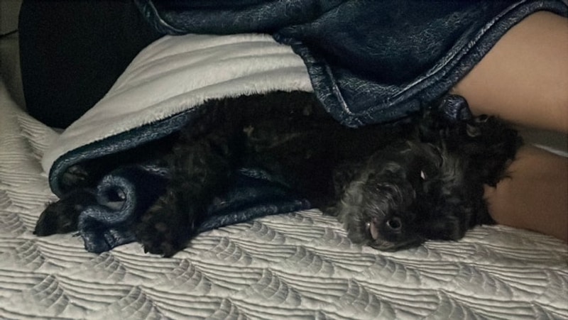 2025년 5월 일상, 네번째[일곱식구캠핑장/정읍양자강]