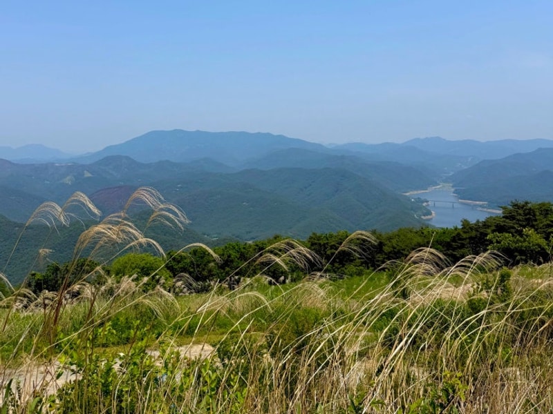 대구 군위 바람이좋은저녁 캠핑장, 운무가 유명한 곳...