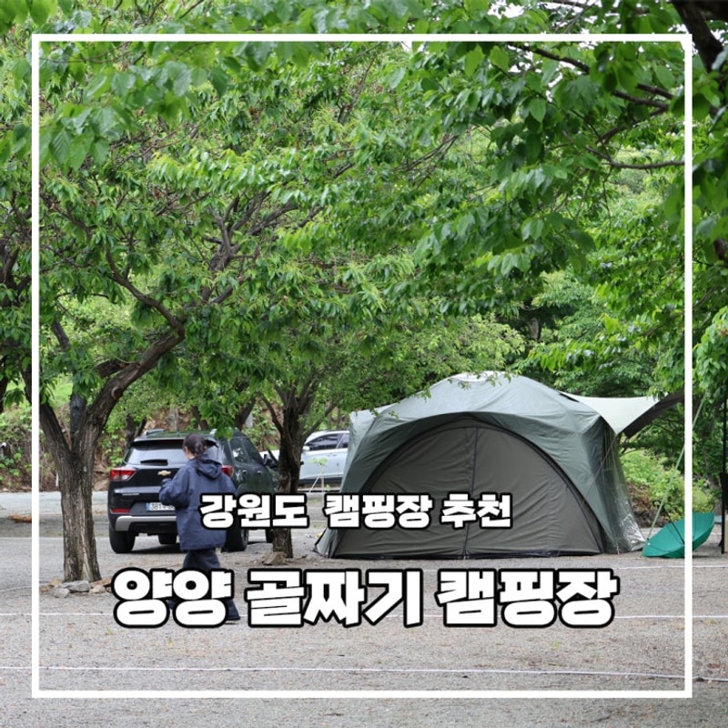 강원 양양 계곡 캠핑 추천 골짜구니캠핑 완벽 분석