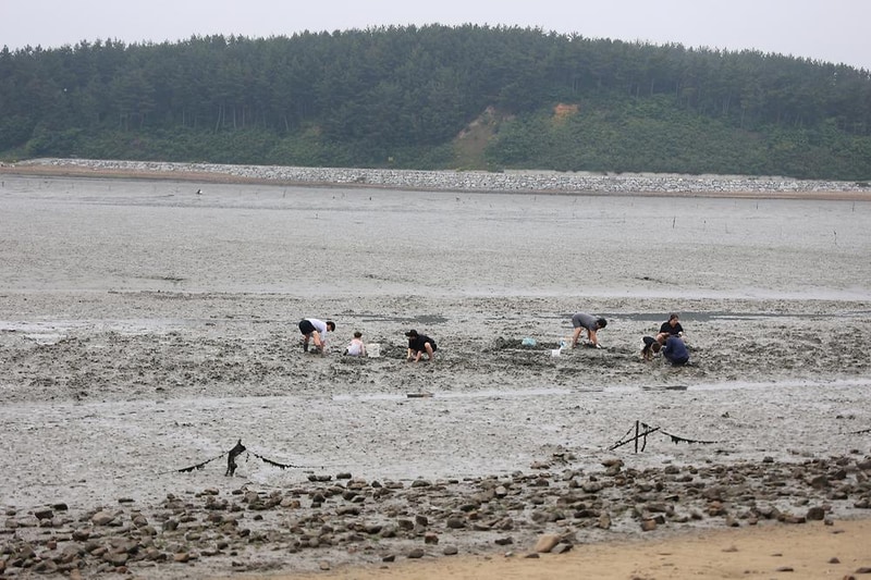 체로키캠핑장 (Cherokeycamp) 시설 사진 14