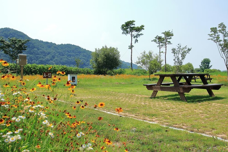 청양 동강리 오토캠핑장 시설 사진 5