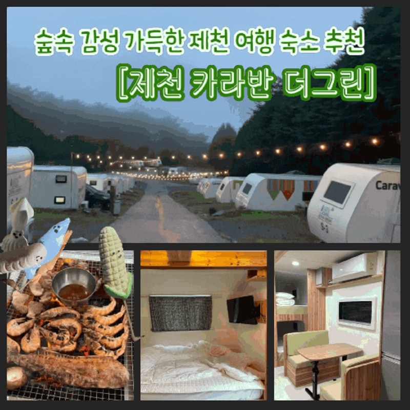 숲속 감성 가득한 [제천 카라반 더 그린] 제천 숙소 추천...