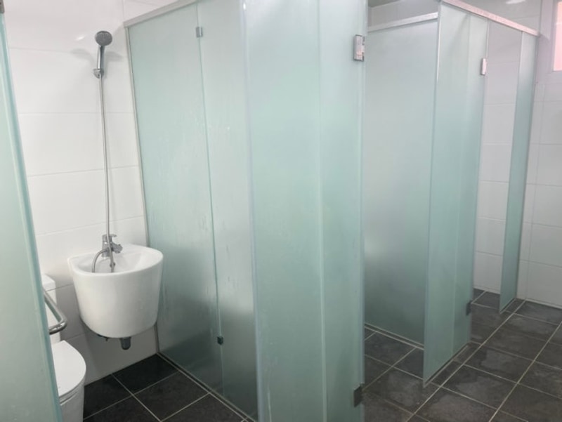 경기도 포천 캠핑장 추천 포천딥포레스트캠핑장(feat, 고양이)