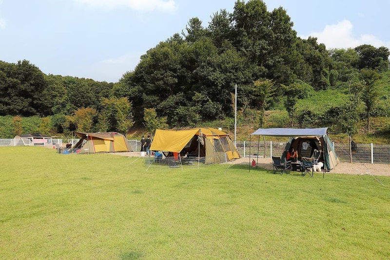 피플앤독 힐링캠핑장 시설 사진 3