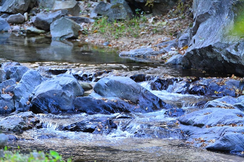 가평 물골숲 계곡 캠핑장 시설 사진 11