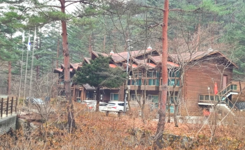 해발 800m 고산지대 위치한/철암 고원힐링캠핑장 계곡...