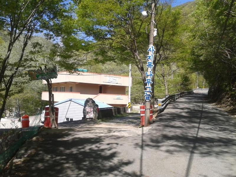 빛 생명 숲 사지목 시설 사진 14