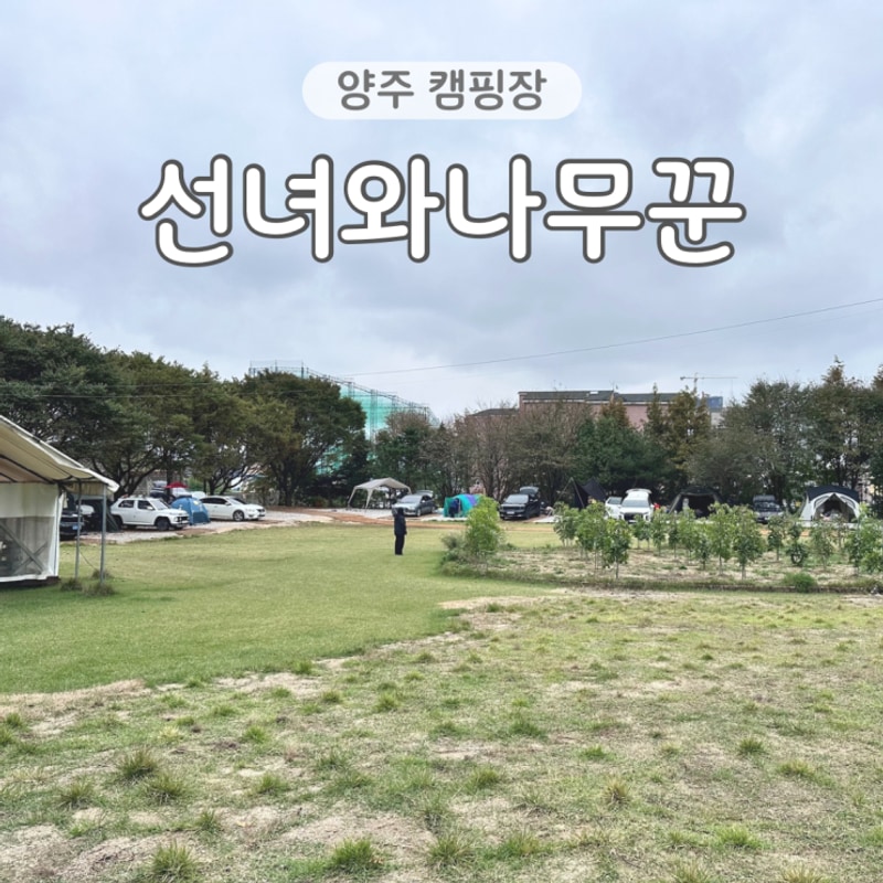 양주 선녀와나무꾼 캠핑장 아이랑 서울 근교 오토캠핑장 솔직후기