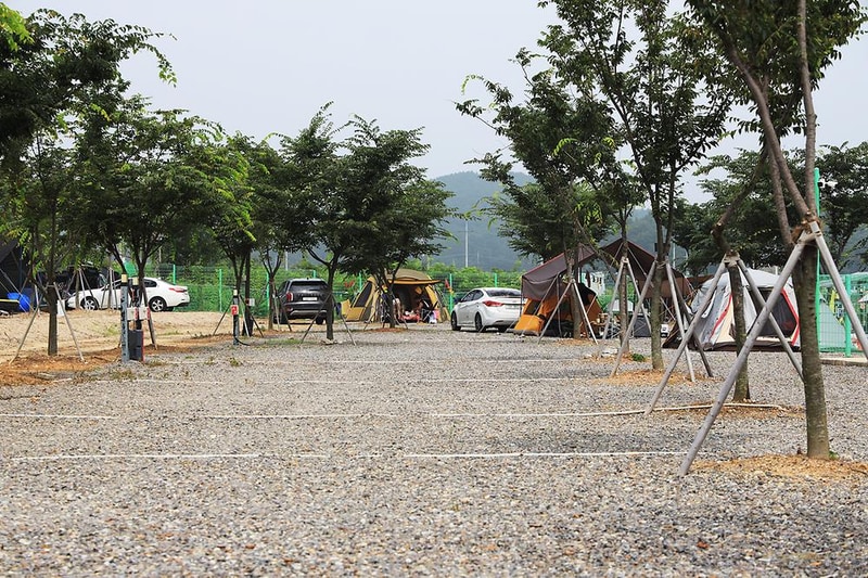 대부관광농원 오캠핑 시설 사진 10