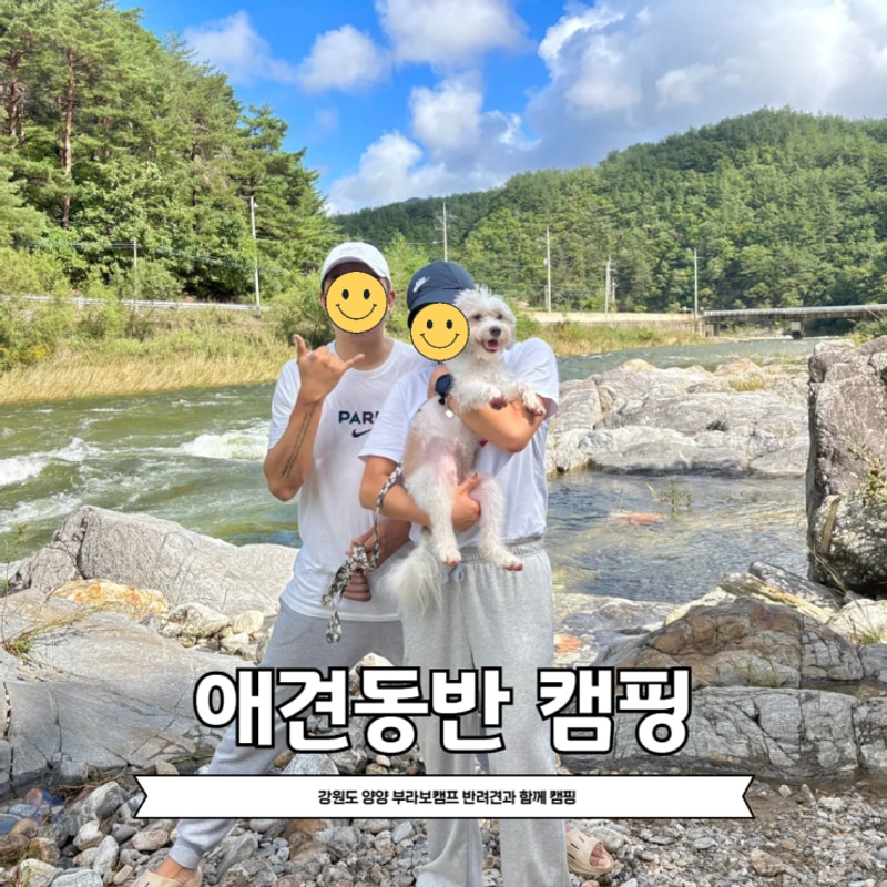 강아지랑 캠핑 강원도 양양 부라보캠프 불멍 반려견 애견동반