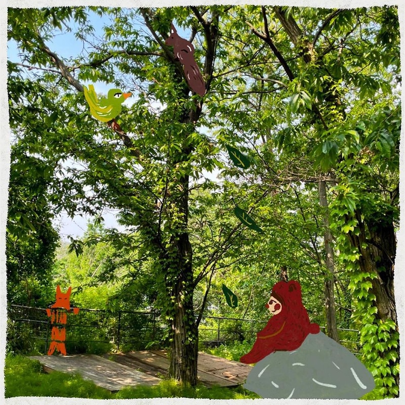 반달곰이 살던 숲 시설 사진 11