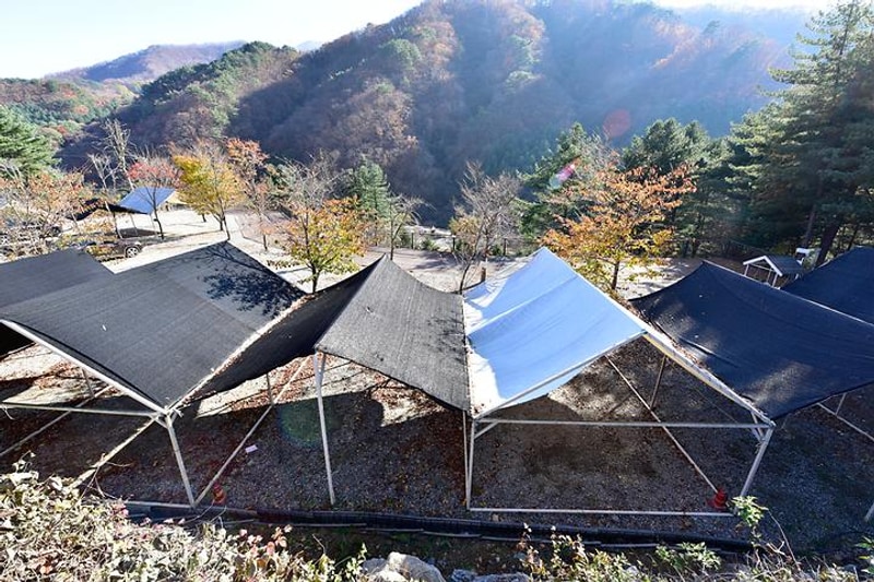 하이캠핑장 대표 사진