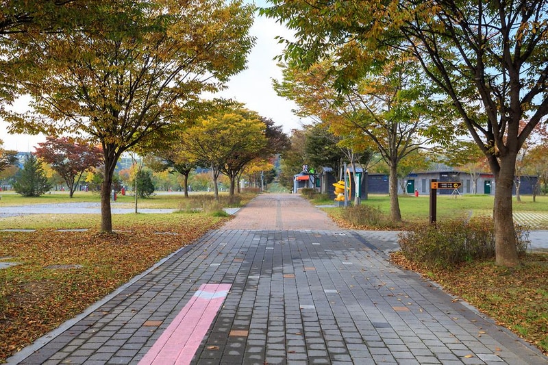 충주 목계솔밭 캠핑장 시설 사진 8