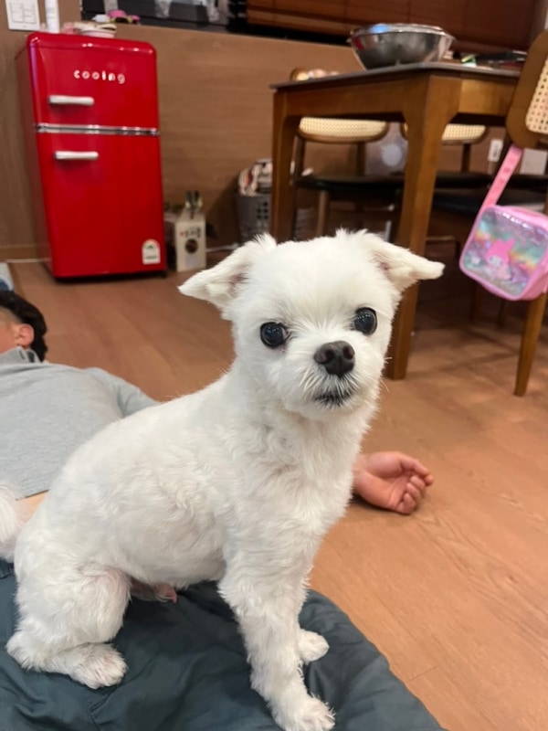 통영, 산청별천지캠핑장(2025.8.16.~18.)