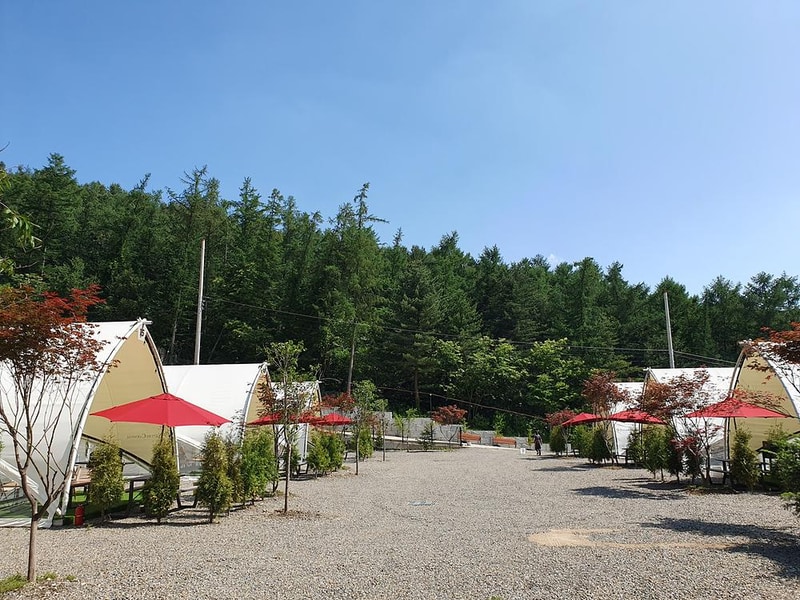 코코숲 바베큐&글램핑 시설 사진 15