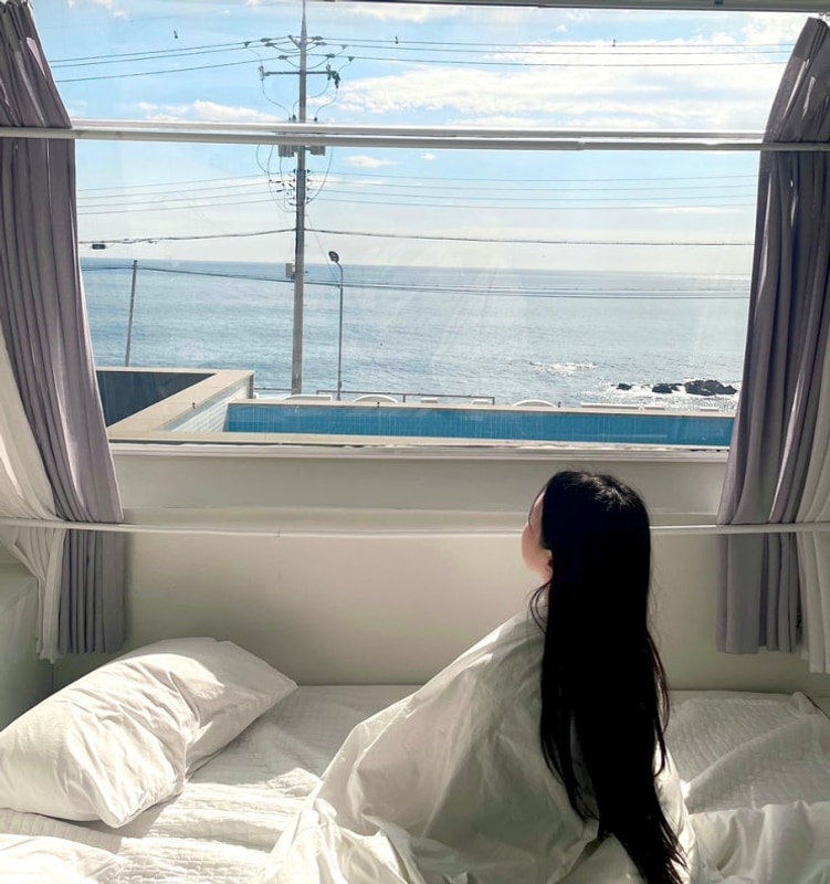 스페이스영덕 오션뷰 골든 카라반 숙박 후기 애견 동반 가능...