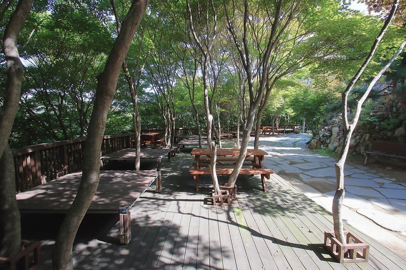 이안숲속오토캠핑장 시설 사진 1