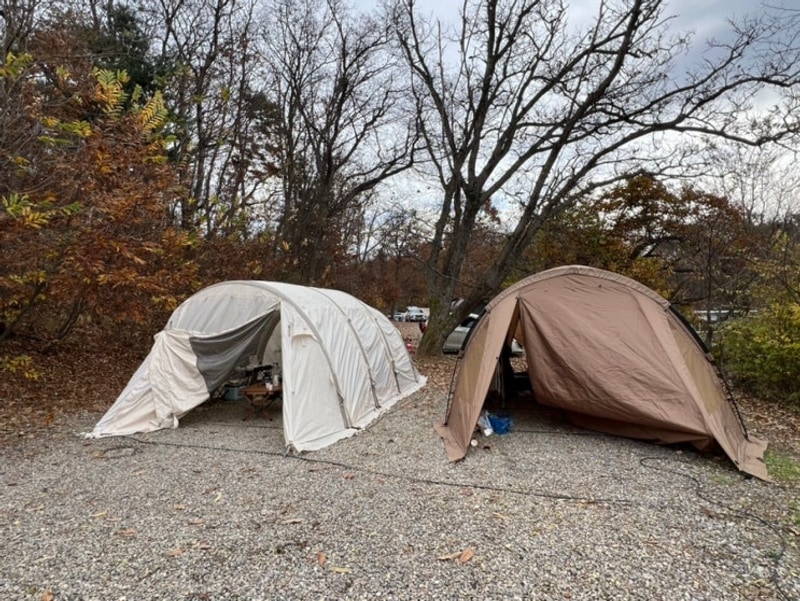 캠핑11월] 파주 느티나무 그늘아래 캠핑장 / 주말 / 1박...