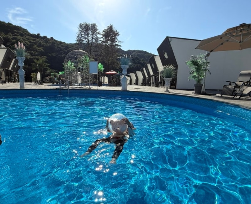 여행 감성 포토존 가득 신축 글램핑 & 카라반 가평 글램스테이