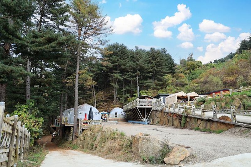 엉클킴스 캠핑장 대표 사진