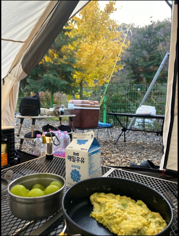 경주 애견캠핑장 추천 자연 속 힐링 양남 라라캠핑장 솔직 후기