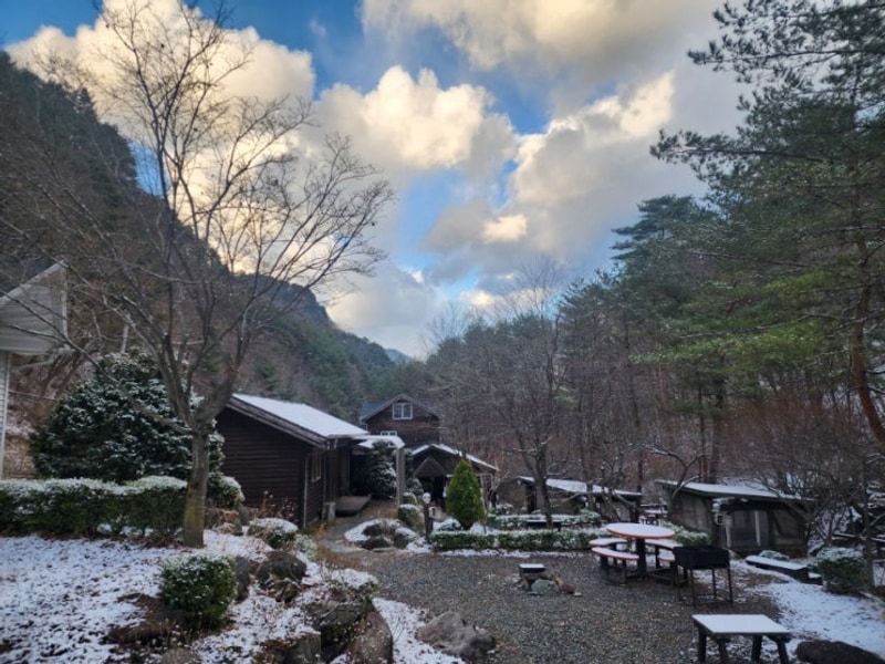 강원도여행 정선 도원펜션&캠핑장 자연 속 힐링여행
