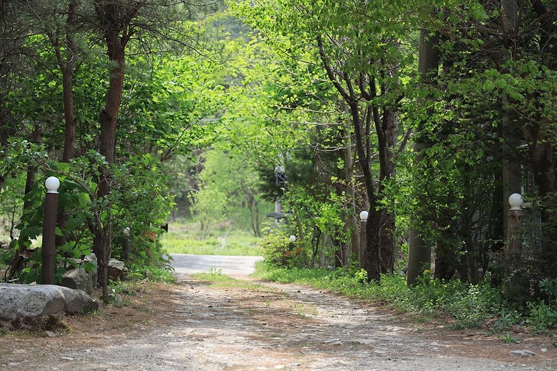 꿈꾸는 계곡 야영장 시설 사진 4