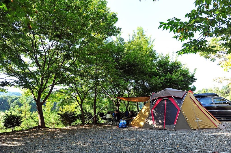 금동산야 시설 사진 9