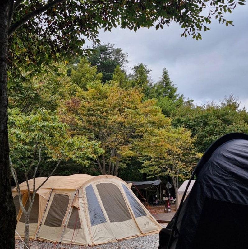 경남 함양 캠핑장 '캠프더포레' 물 맑고 깨끗한 계곡사이트...