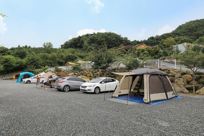 산과별 관광농원 시설 사진 12