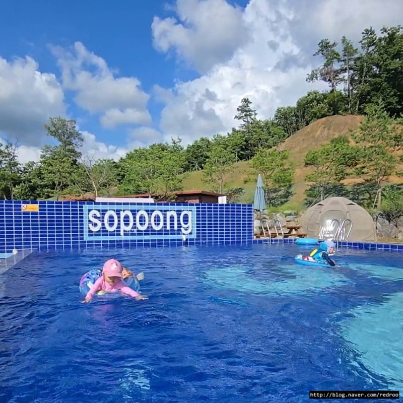 용인 소풍캠핑장 수영장 초보도 즐거운 캠핑카 카라반 1박