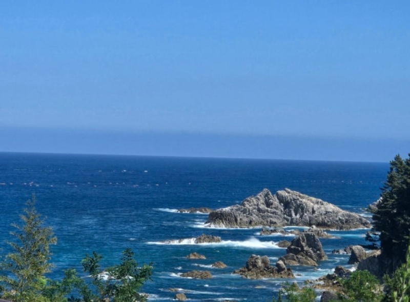 삼척 캠프오슬로