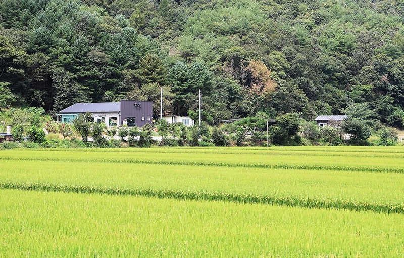 숲 나들이 야영장 시설 사진 3