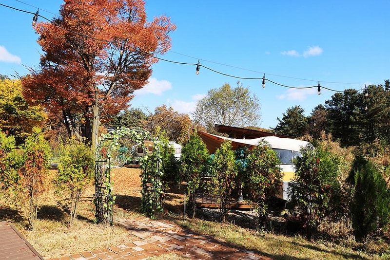 잭스캠프 시설 사진 3