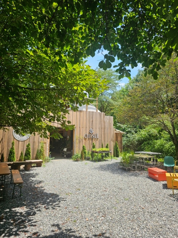 여름휴가 캠핑 원주 북유럽감성 캄파슬로우 캠핑장