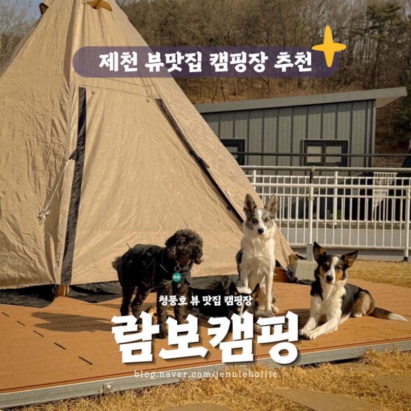제천 애견동반 가능한 뷰 맛집 캠핑장 추천 람보캠핑