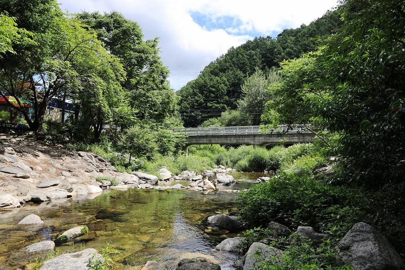 철이네캠핑장 시설 사진 11