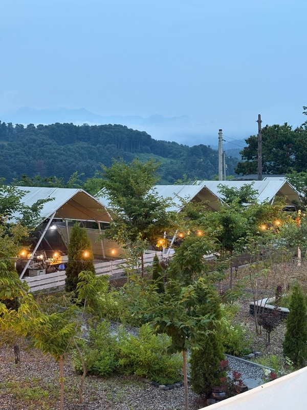 가평 노키즈 반려견 캠핑장 추천 | 나아정 캠핑장 5번 타프존...
