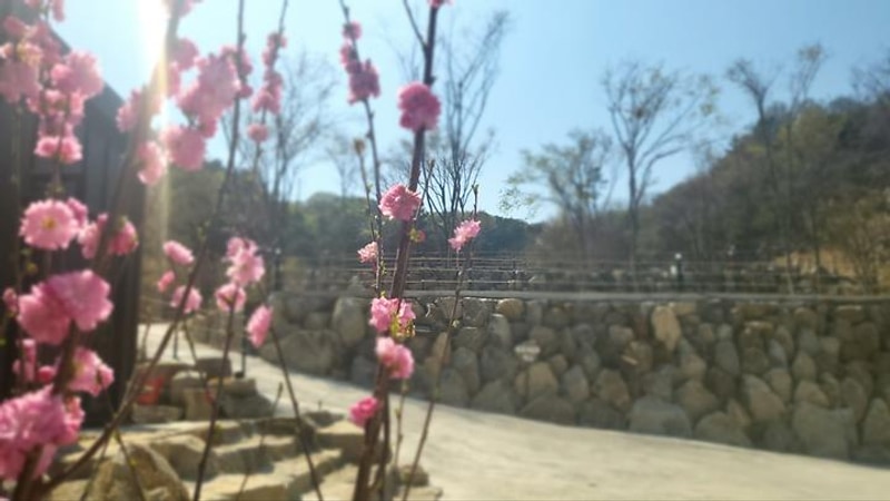 다문188캠핑장 대표 사진