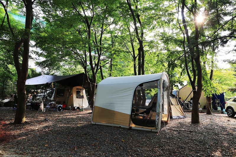 태양힐링숲 시설 사진 2