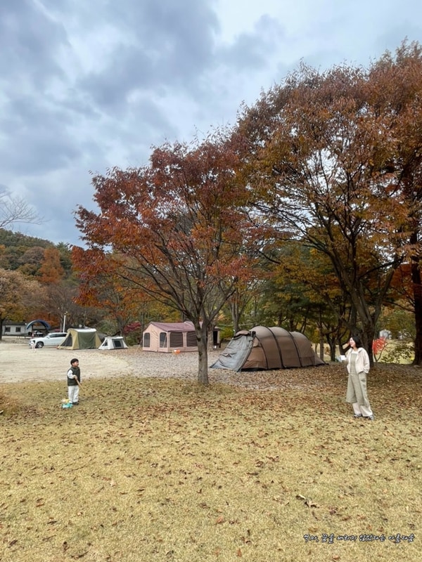 1년만에 유진이누나랑 가을캠핑 - 캠프여주 (25.11.7~9)