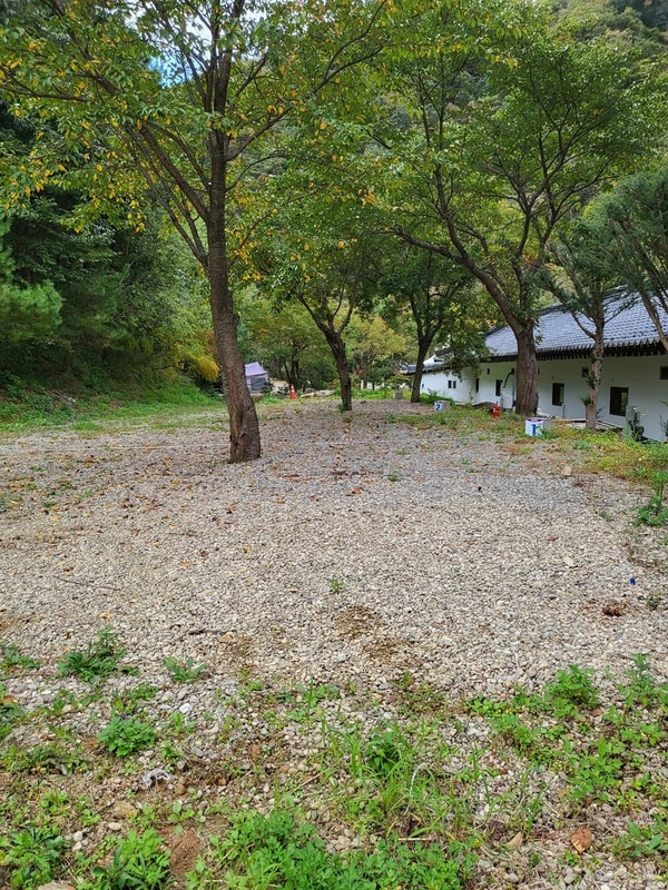 강원 홍천 알프스밸리 캠핑나라 글램독 시설 사진 13