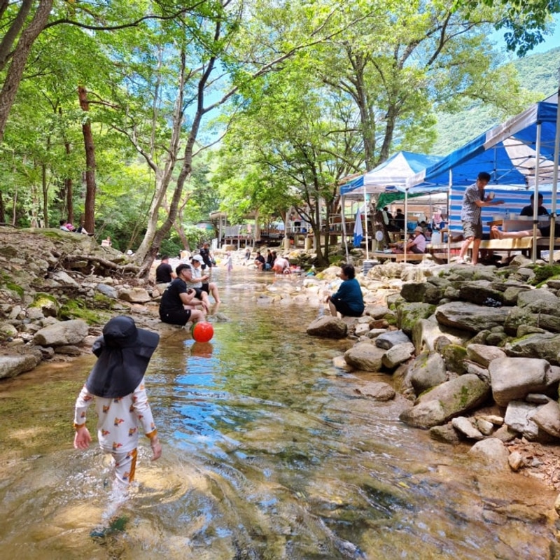 [충북/괴산] 삼태기 캠핑장 계곡 물놀이 / 휴가 2일차, 방학 4일차!