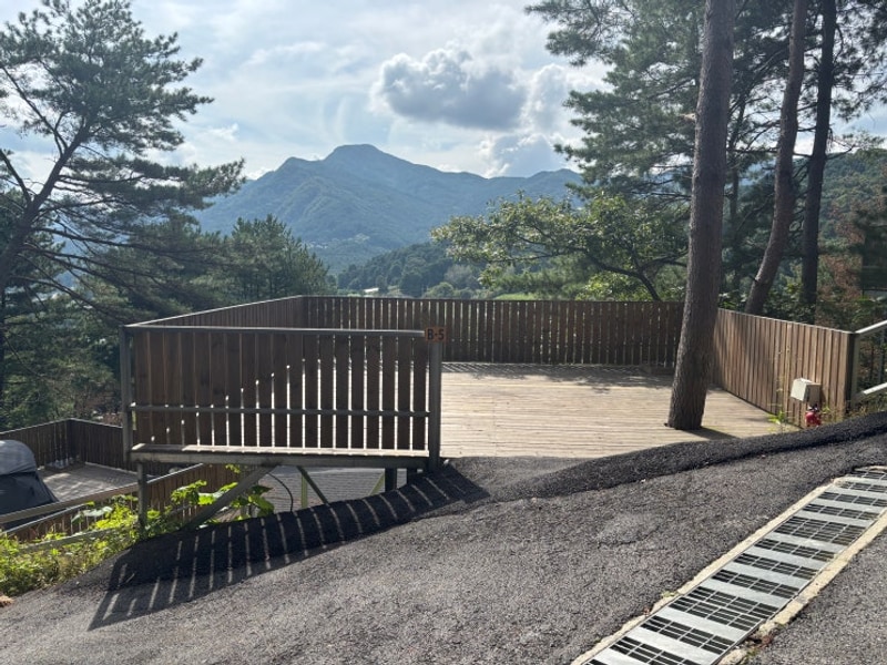 [선택적고립캠핑장 B5] 힐링 제대로 하고 온 가평 애견동반...