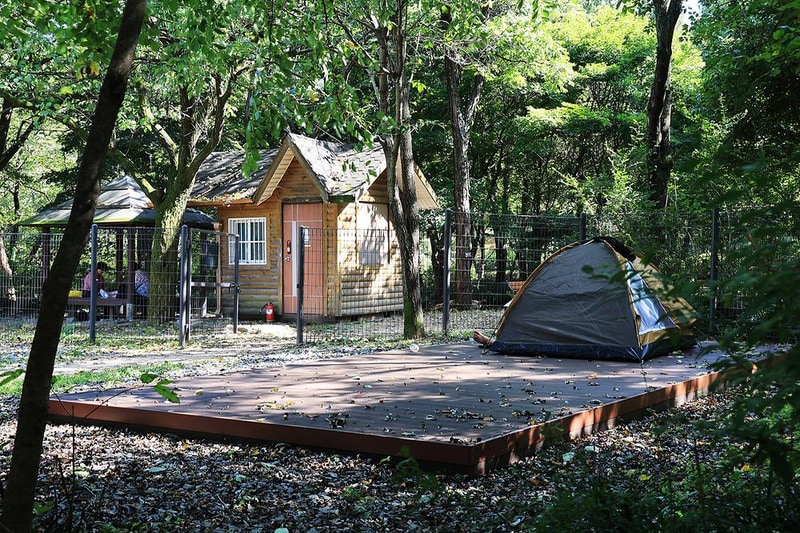 관악산 계곡 캠핑장 시설 사진 1