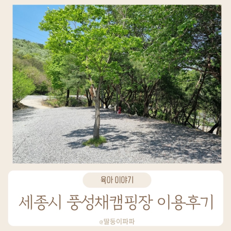 세종 자연과 함께하는 풍성채 캠핑장 내돈내산 방문후기