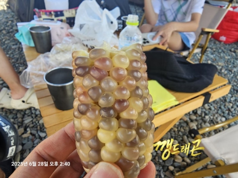 2025.06.28-29_고성잔디캠핑장